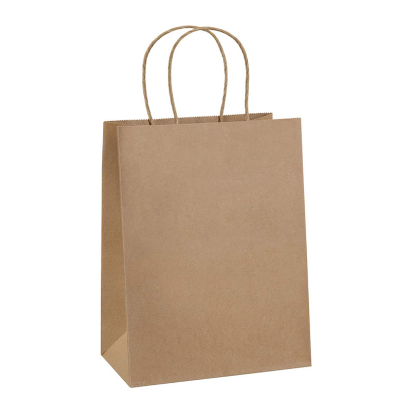 Complete brown paper carry bag with two rounded, twisted-looking loop handles